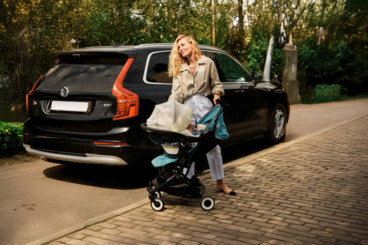 Cybex Infant Car Seat