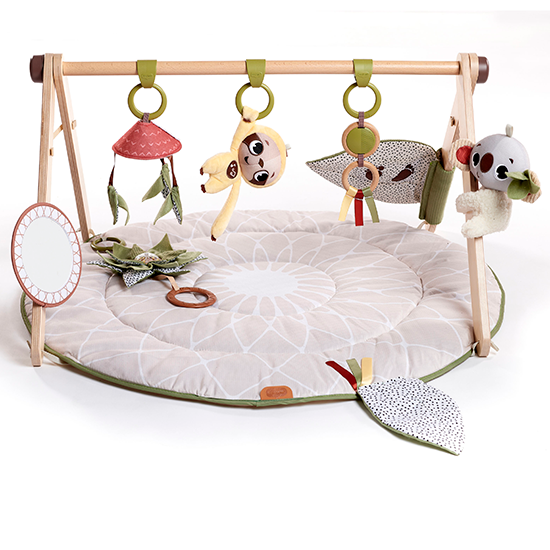 Tiny Love Boho Chic Luxe Developmental Gymini