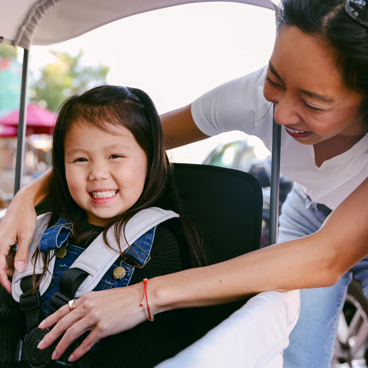 WonderFold L2 Double Stroller Wagon