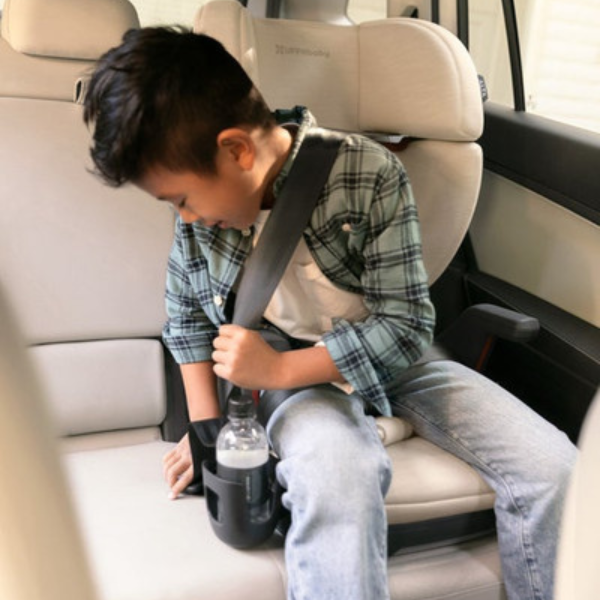 Alta V2 booster by uppababy