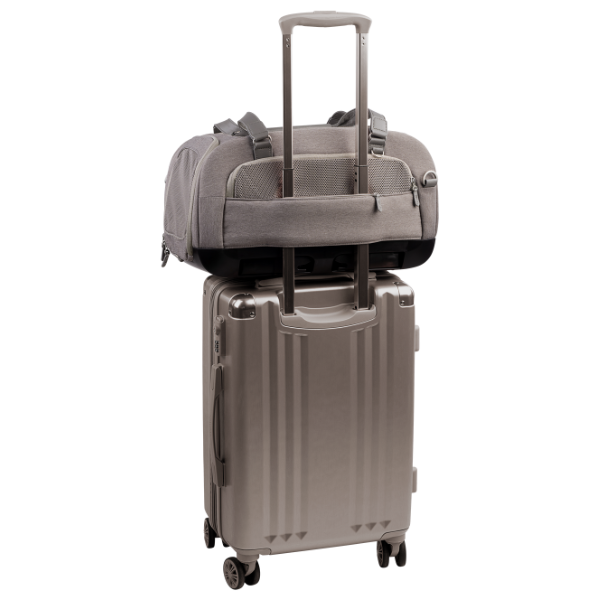 Pet travel carrier Dupree II