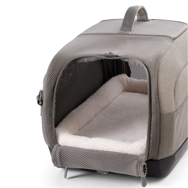 TavoPets Dupree I airline carrier