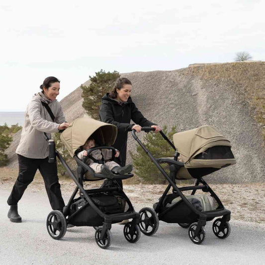 Thule Charm Thule Charm 2-in-1 Stroller and Bassinet
