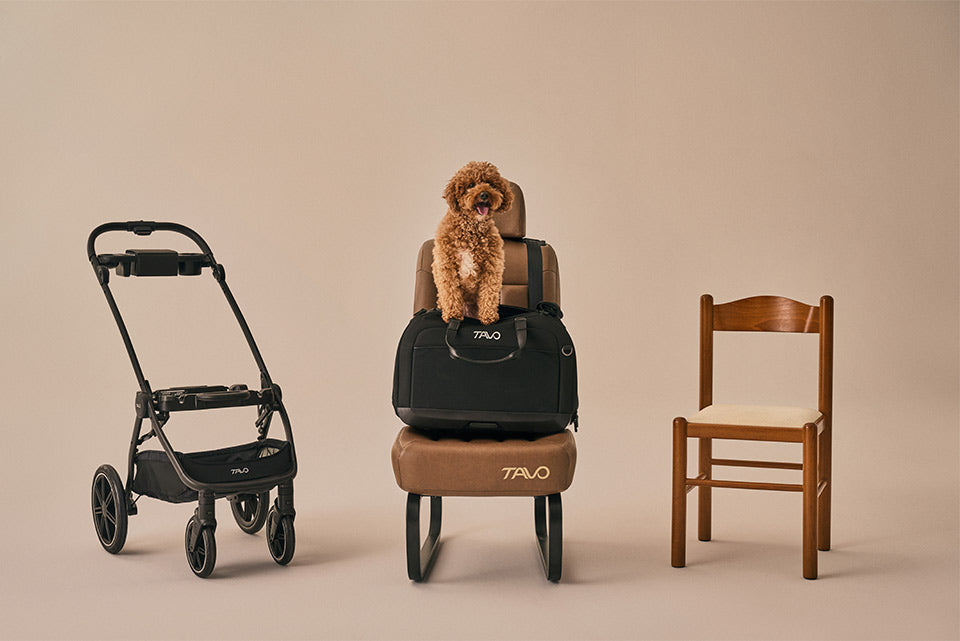 Hendrick Tavo Pets Hendrick Pet Car Seat Carrier