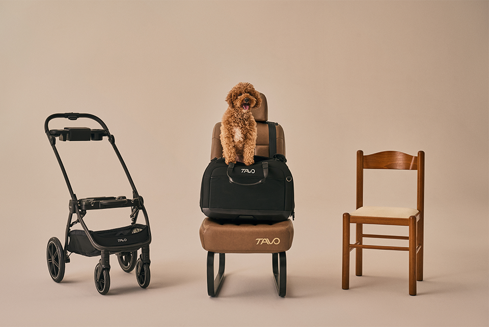Hendrick Tavo Pets Hendrick Pet Car Seat Carrier