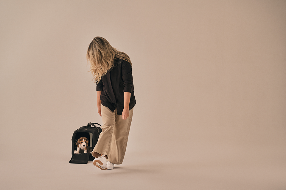 Hendrick Tavo Pets Hendrick Pet Car Seat Carrier