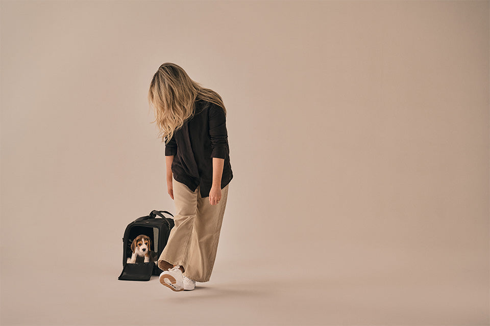 Hendrick Tavo Pets Hendrick Pet Car Seat Carrier