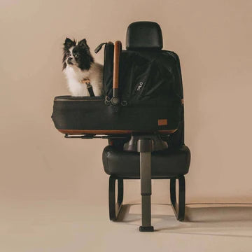 Tavo Pets Maeve by the makers of nuna Medium Rigid Pet Car Seats