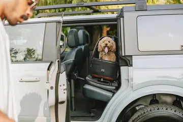 Tavo Pets Maeve Medium Pet Car Seats