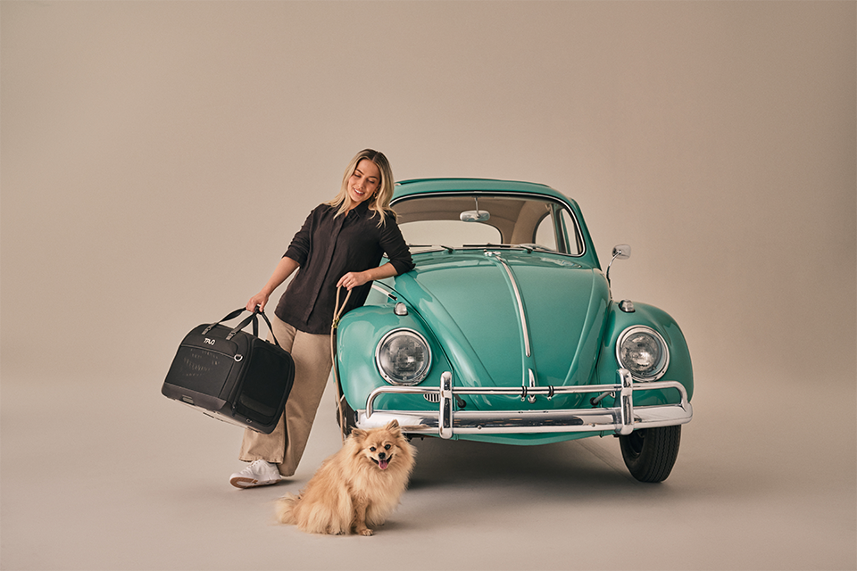 Hendrick Tavo Pets Hendrick Pet Car Seat Carrier
