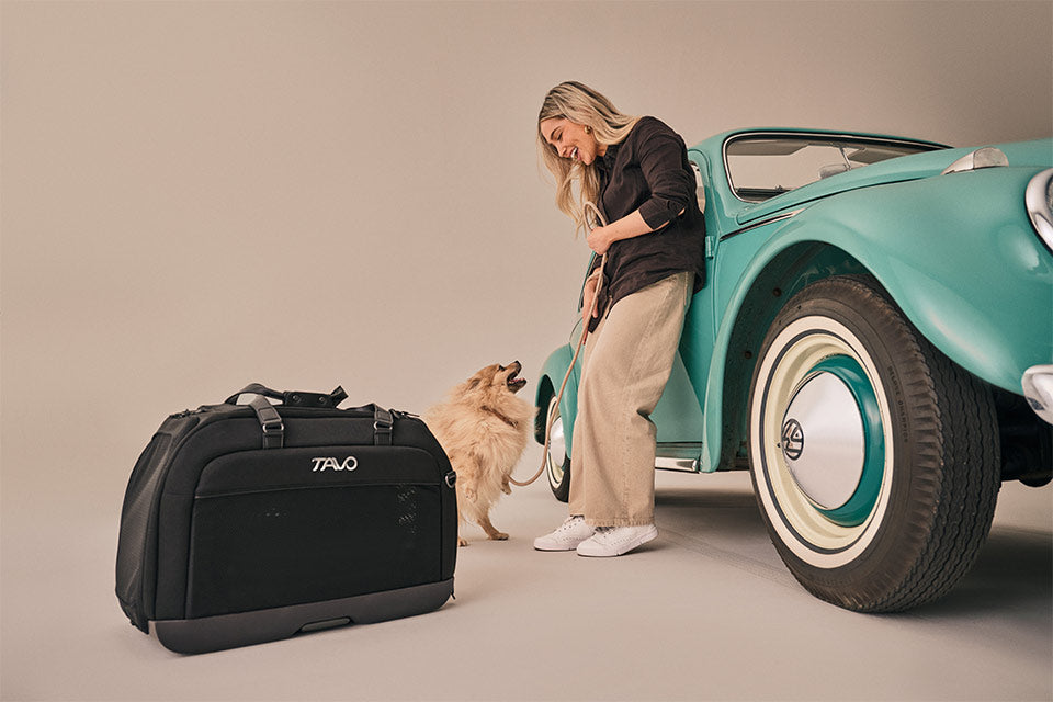 Hendrick Tavo Pets Hendrick Pet Car Seat Carrier