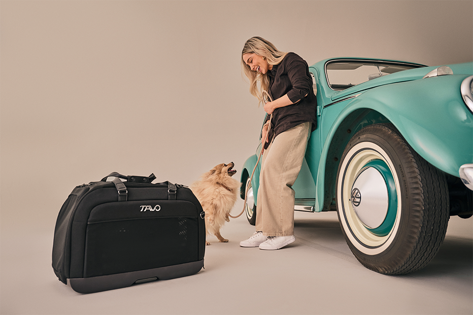Hendrick Tavo Pets Hendrick Pet Car Seat Carrier