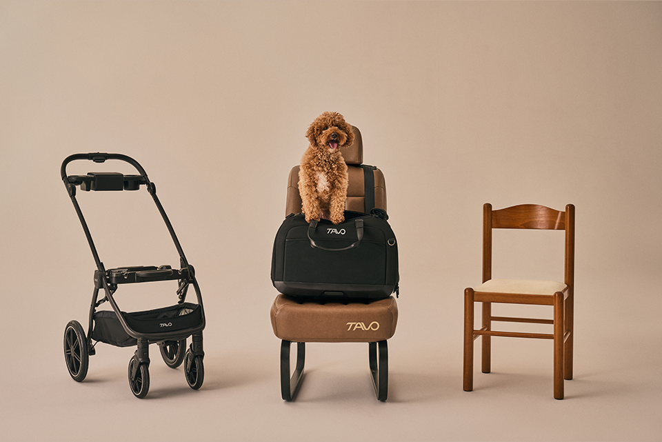 Hendrick Tavo Pets Hendrick Pet Car Seat Carrier