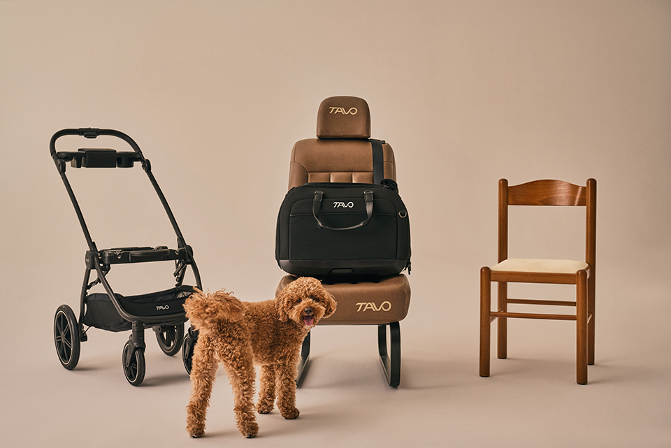 Hendrick Tavo Pets Hendrick Pet Car Seat Carrier
