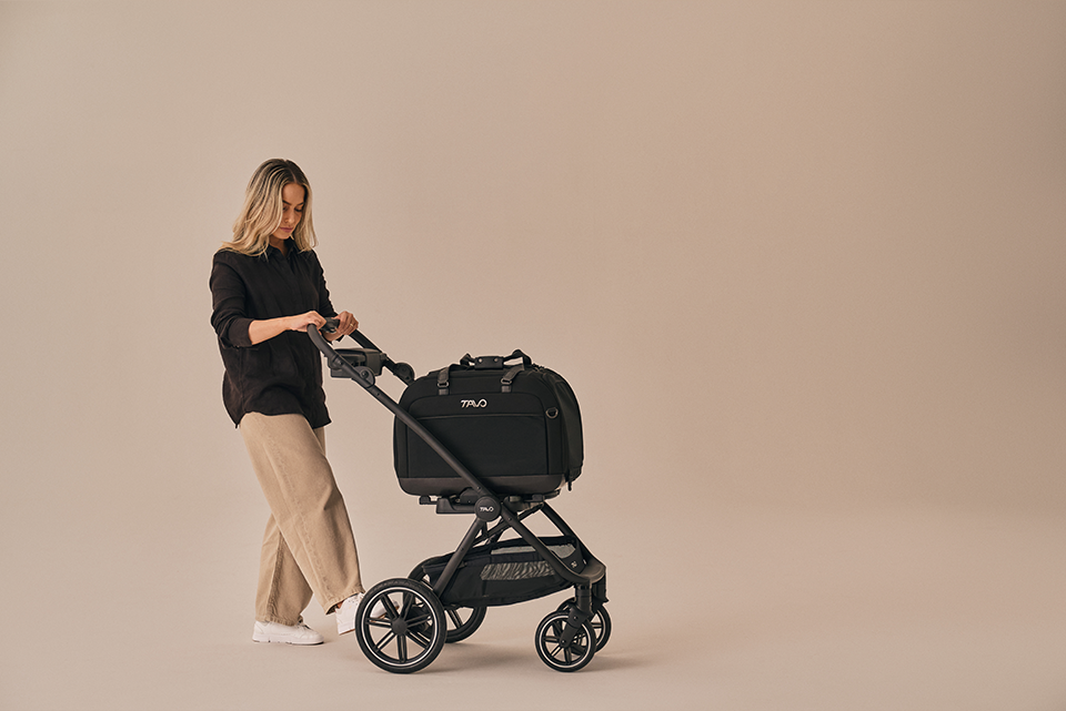 Hendrick Tavo Pets Hendrick Pet Car Seat Carrier