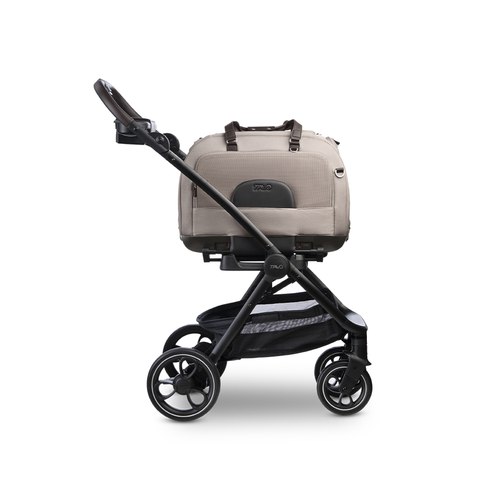 Hendrick Tavo Pets Hendrick Pet Car Seat Carrier