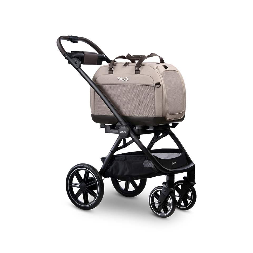 Hendrick Tavo Pets Hendrick Pet Car Seat Carrier