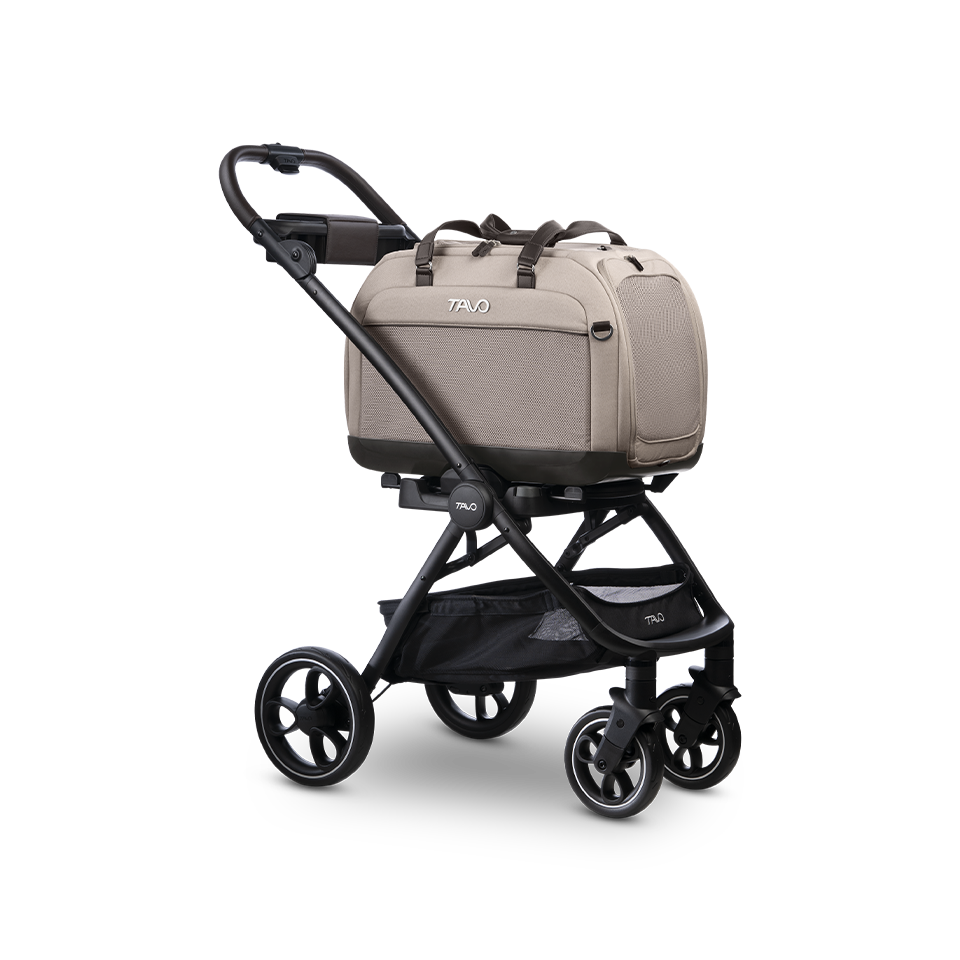 Hendrick Tavo Pets Hendrick Pet Car Seat Carrier
