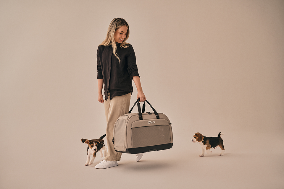 Hendrick Tavo Pets Hendrick Pet Car Seat Carrier