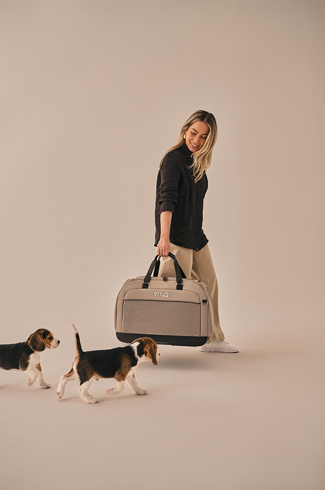 Hendrick Tavo Pets Hendrick Pet Car Seat Carrier