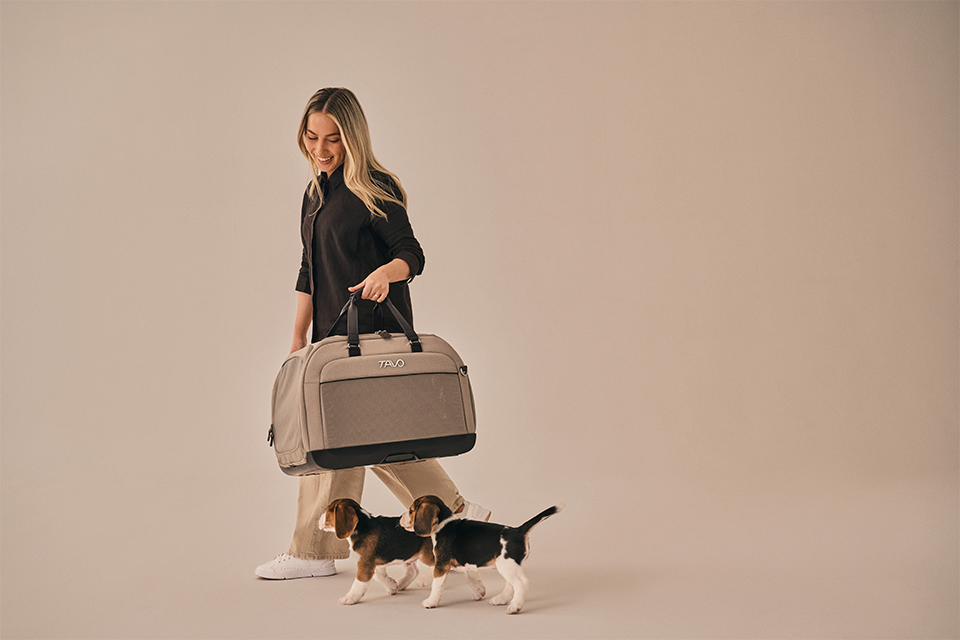 Hendrick Tavo Pets Hendrick Pet Car Seat Carrier
