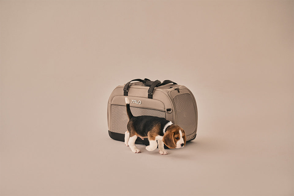 Hendrick Tavo Pets Hendrick Pet Car Seat Carrier