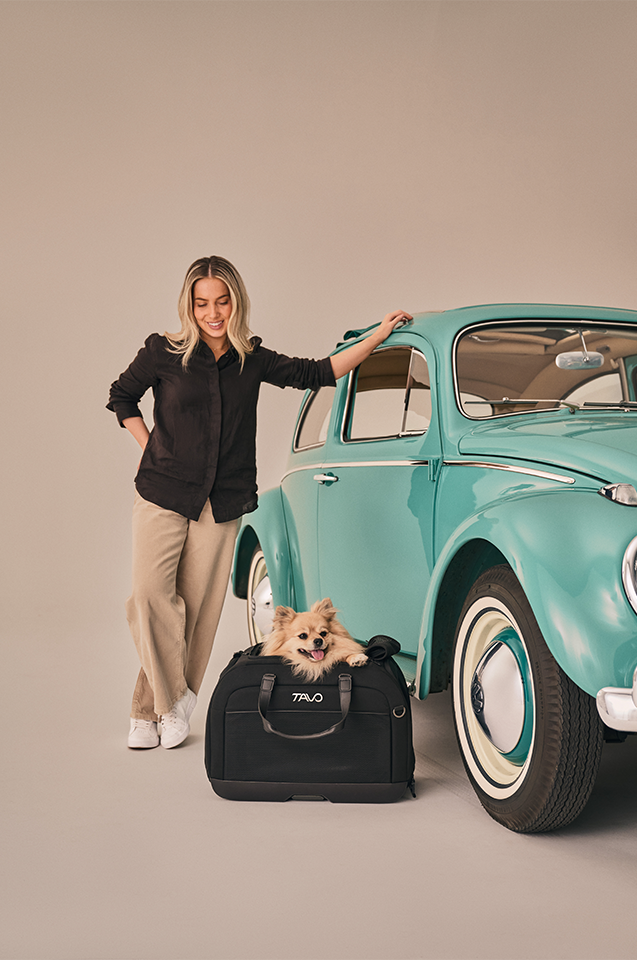 Hendrick Tavo Pets Hendrick Pet Car Seat Carrier