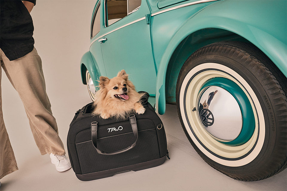 Hendrick Tavo Pets Hendrick Pet Car Seat Carrier
