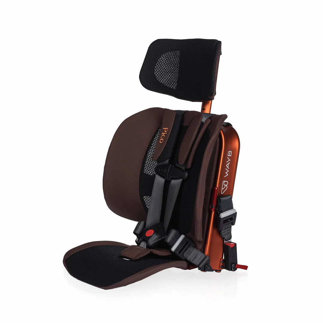 WAYB Pico Traveling Booster Car Seat