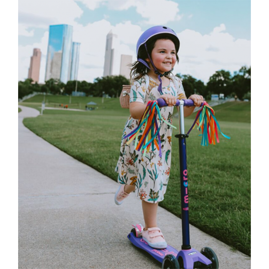 Micro Scooter Maxi Deluxe Outside