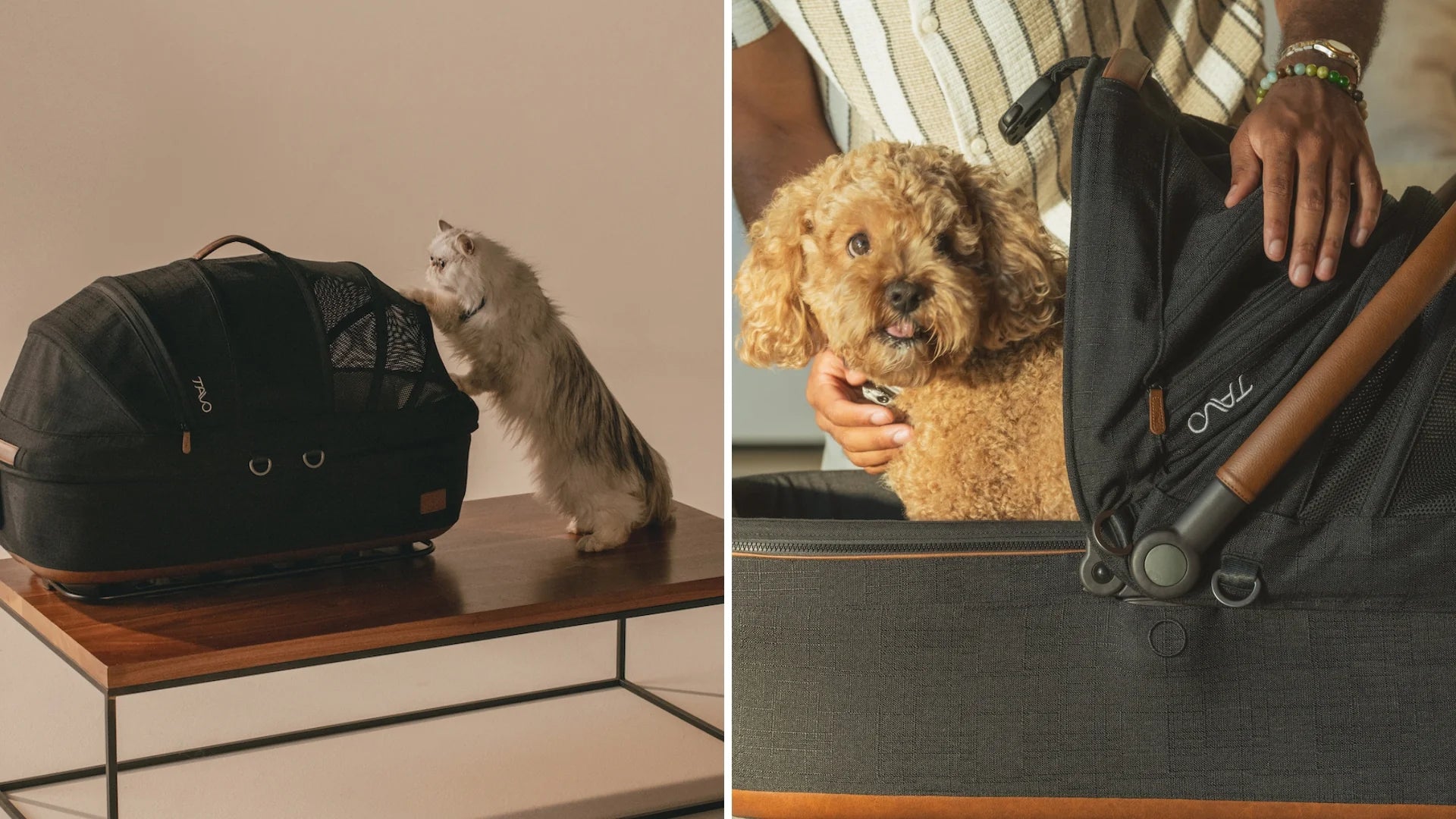 Pet