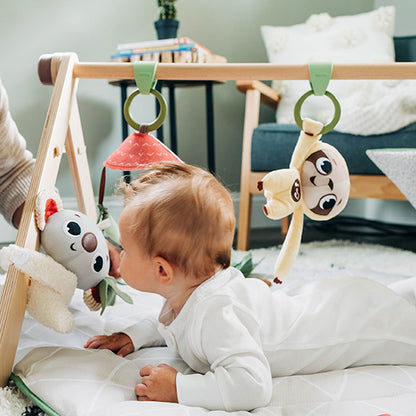 Tiny Love Boho Chic Luxe Developmental Gymini