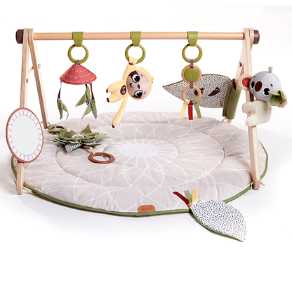 Tiny Love Boho Chic Luxe Developmental Gymini