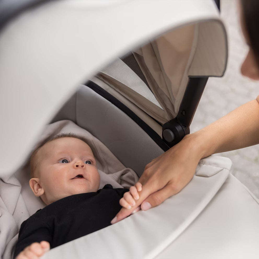 Thule bassinet
