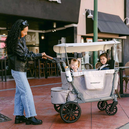 WonderFold L2 Double Stroller Wagon
