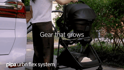 Nuna Flex System Complete Bundle