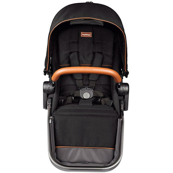 Agio by Peg Perego Z4 Companion Seat