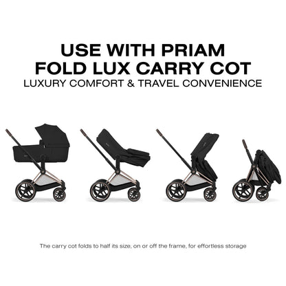 Cybex Priam Comfort Newborn Bundle