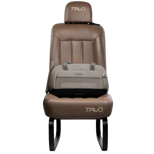 Dupree car seat and airline carrier by TavoPets 