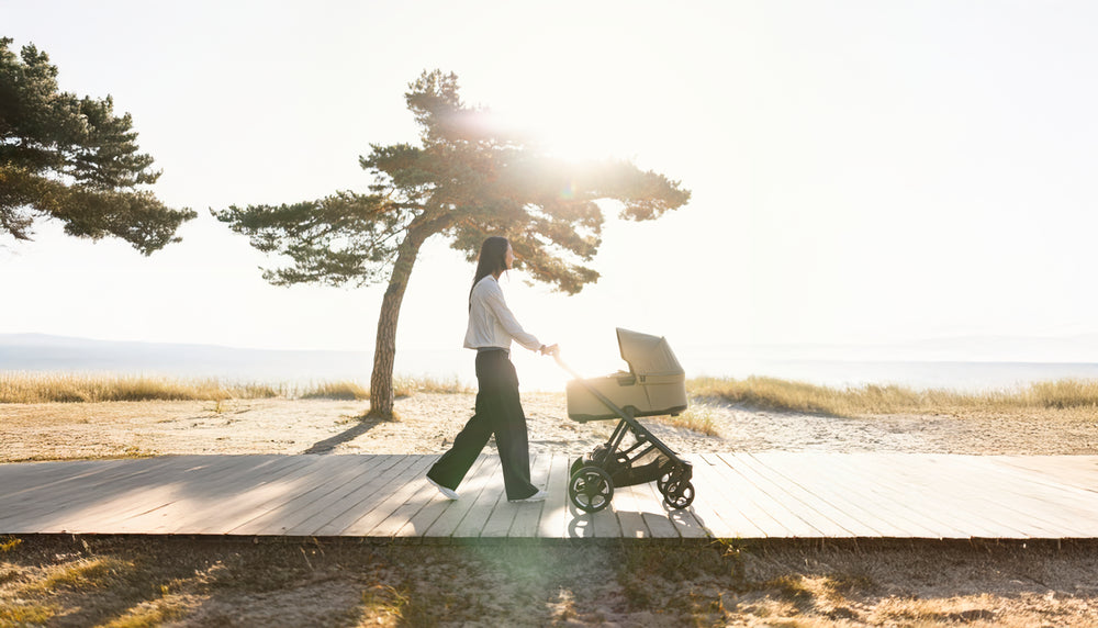 Thule Child Carriers