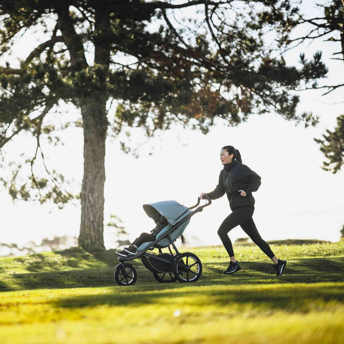 Thule Urban Glide 3 Jogging Stroller