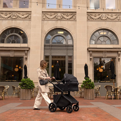 Nuna Demi Next Bassinet and Stand
