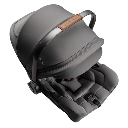 PIPA RX top view