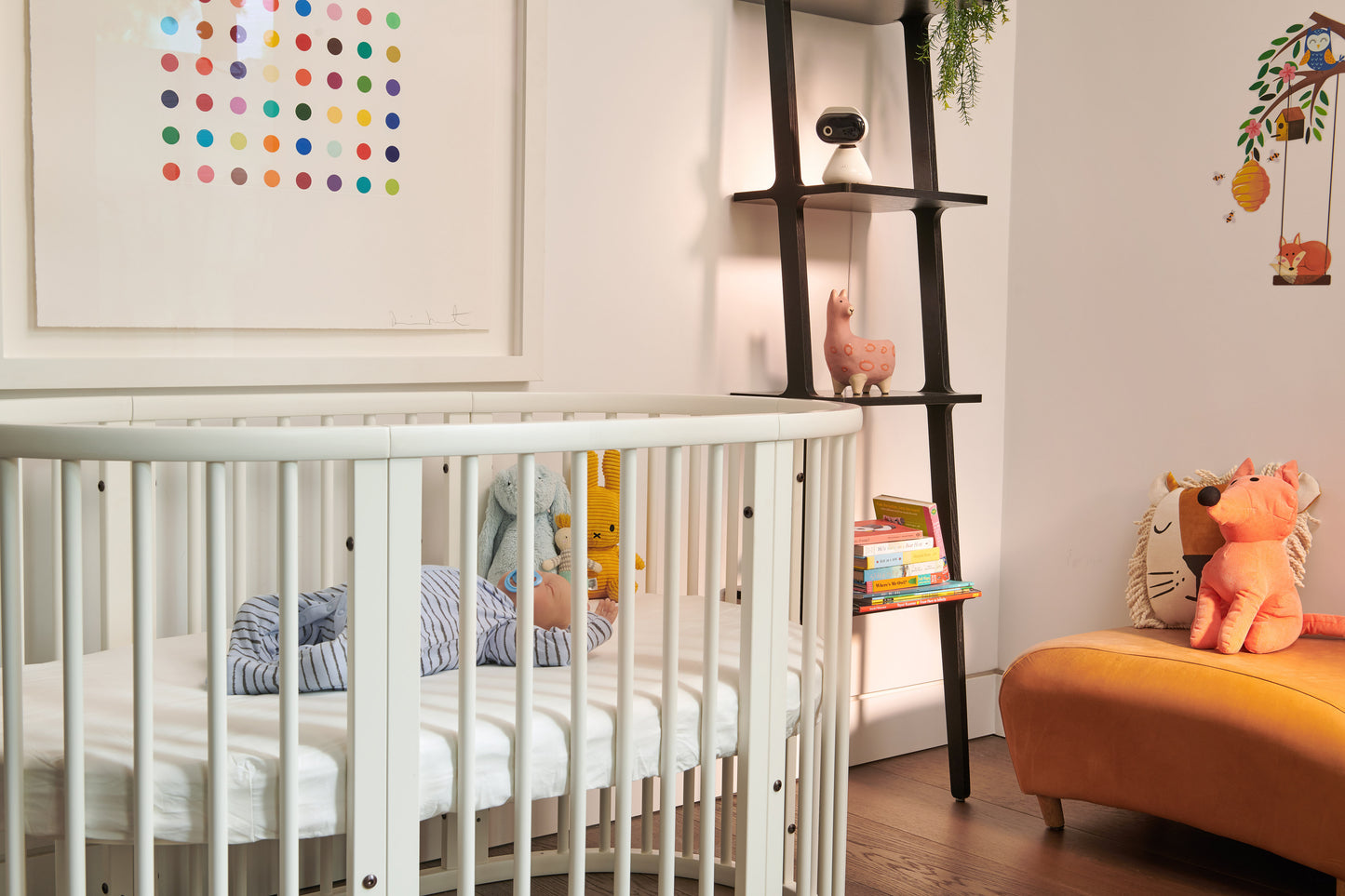Motorola WiFi HD Video Baby Camera