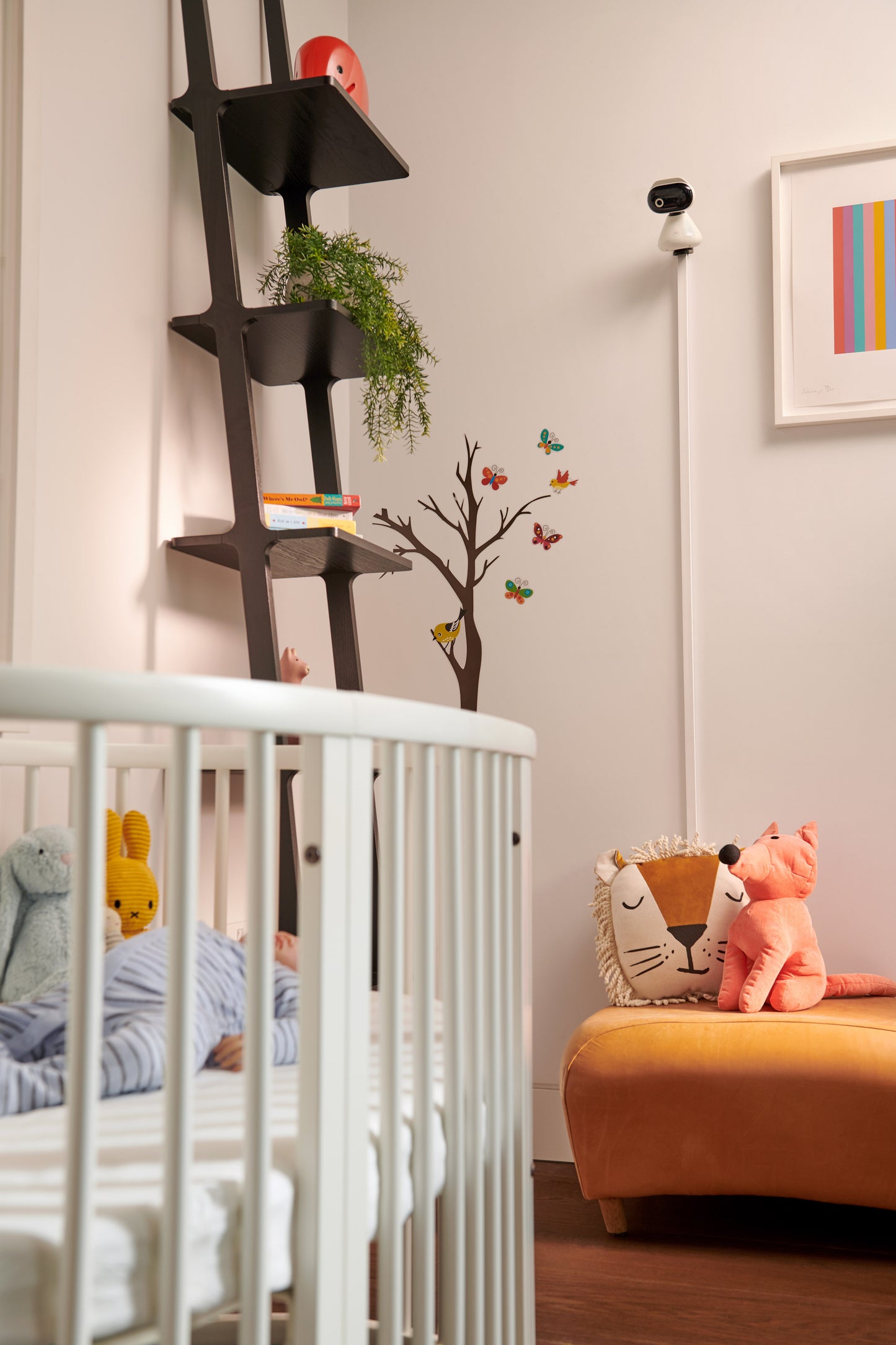 Motorola WiFi HD Video Baby Camera