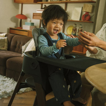 
Child in a high chair being fed by an adult in a cozy living room.