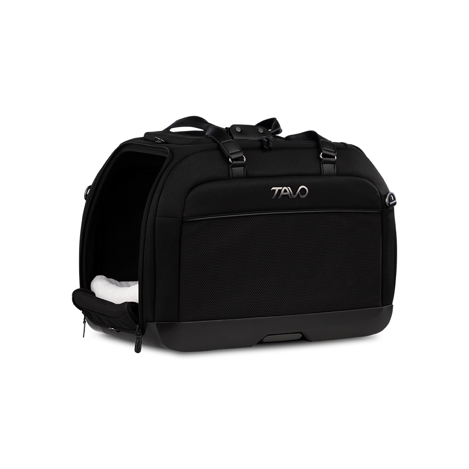 Hendrick Tavo Pets Hendrick Pet Car Seat Carrier