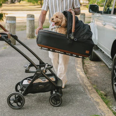 baby stroller with dog compartment Tavo Maeve + Roscoe 3-In-1 Pet Protection System, Medium Rigid - Sable