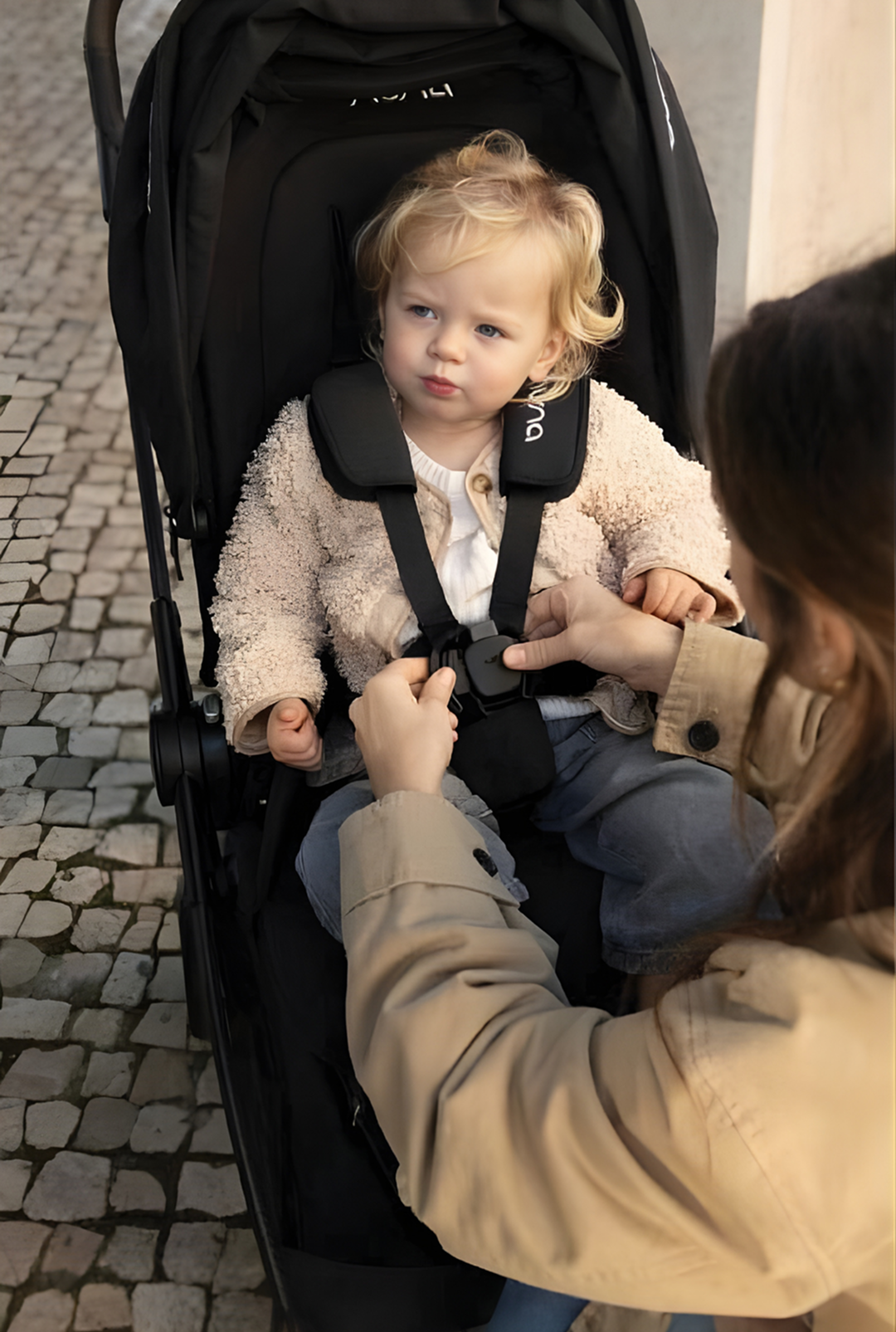 Nuna Flex System Stroller Seat