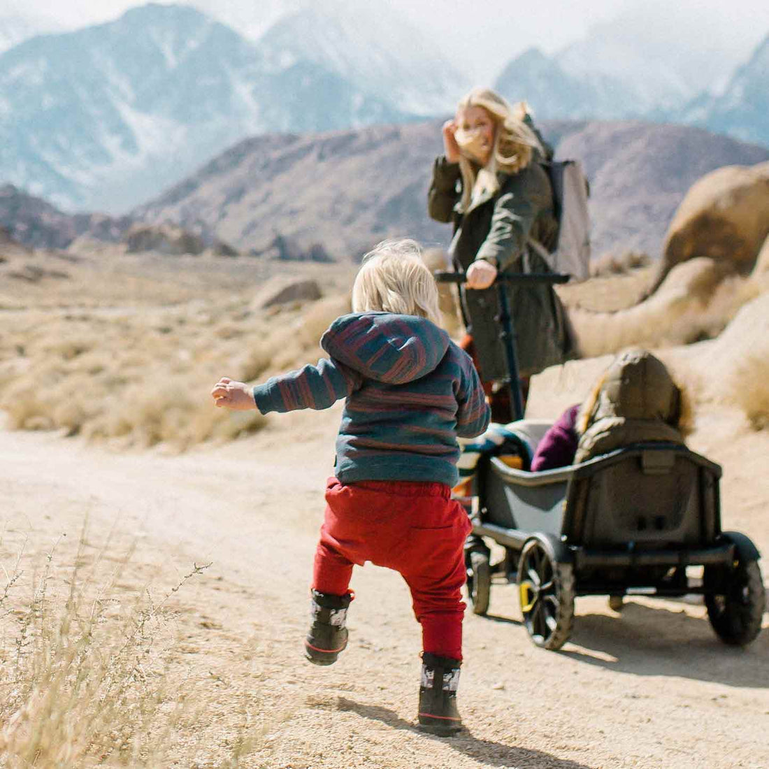 veer cruiser all terrain stroller wagon Veer Cruiser All Terrain Wagon Complete Bundle